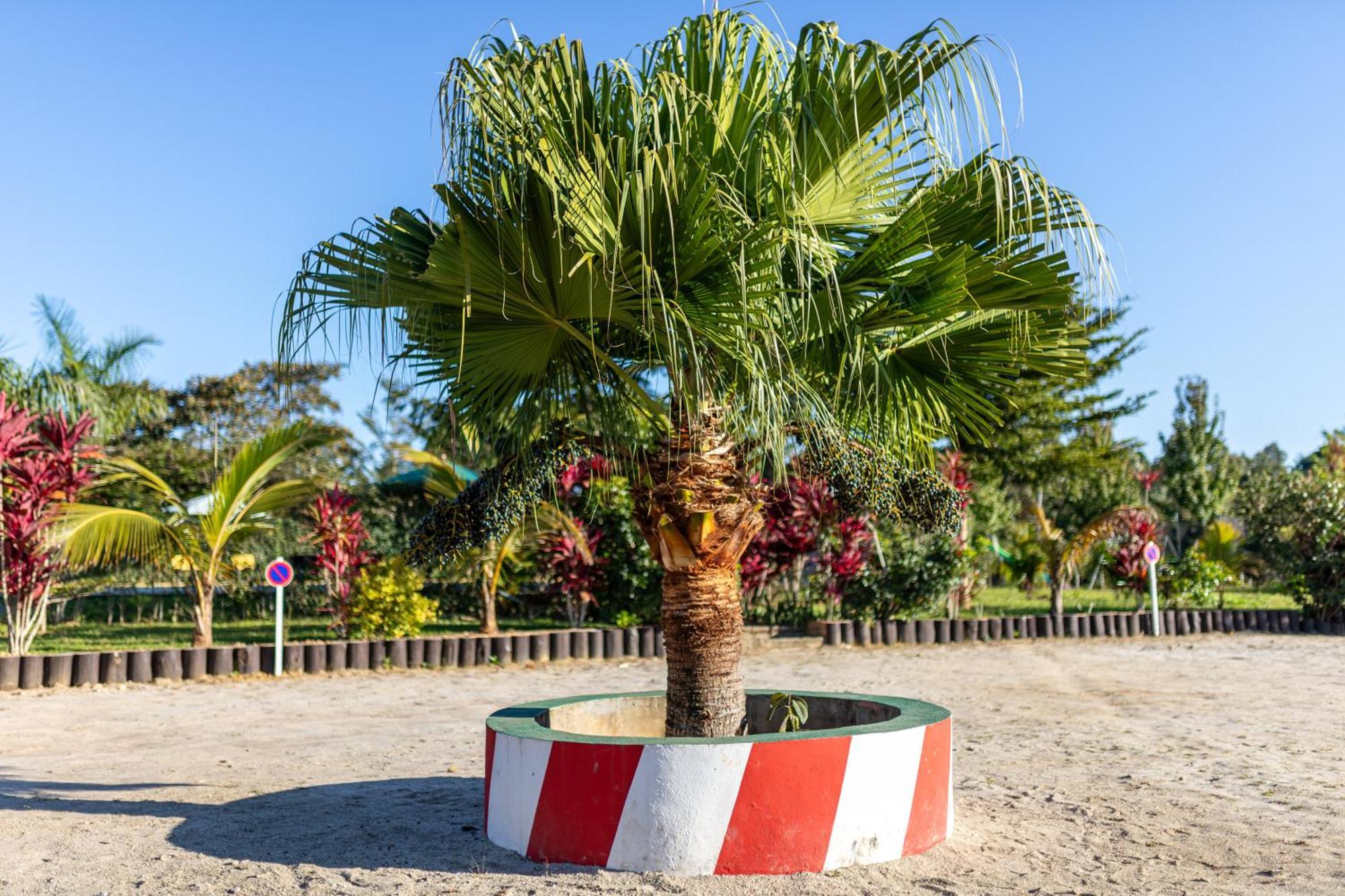 Andasibe Lemurs Lodge Εξωτερικό φωτογραφία